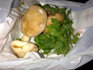 Genova-20121012-00258