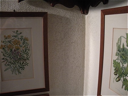 Angolo parete esposta a est e sud.