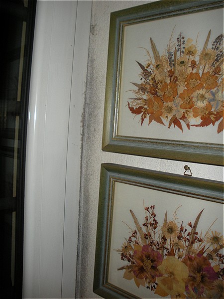 Finestra della cucina