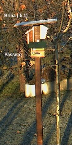 Il Palo serve alla fauna locale