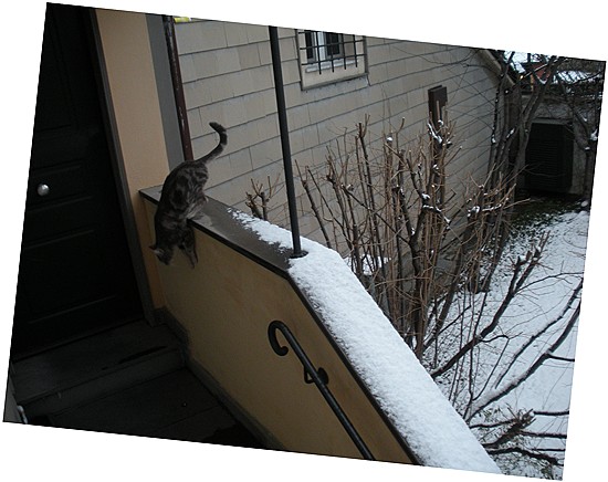 E c'è anche la bestiaccia.