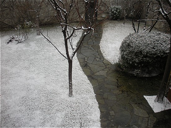 No pala and silly behavior is becessary so far