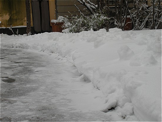 Chissà dov'è il gatto. Sarà li sotto.