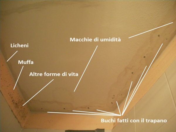 Questa foto era davvero necessaria