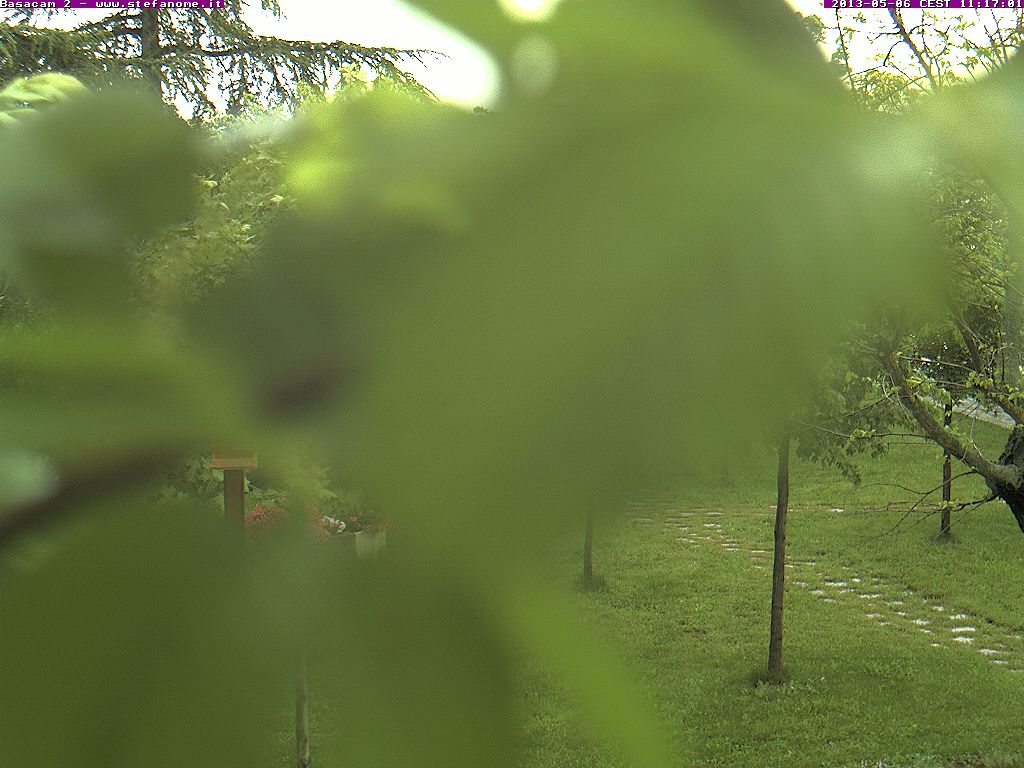 Oppure posso irrorare la regione di Napalm.