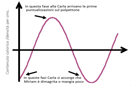 Centro studi polpettone