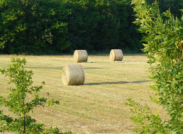Io sono speciale e ne ho tre a disposizione.