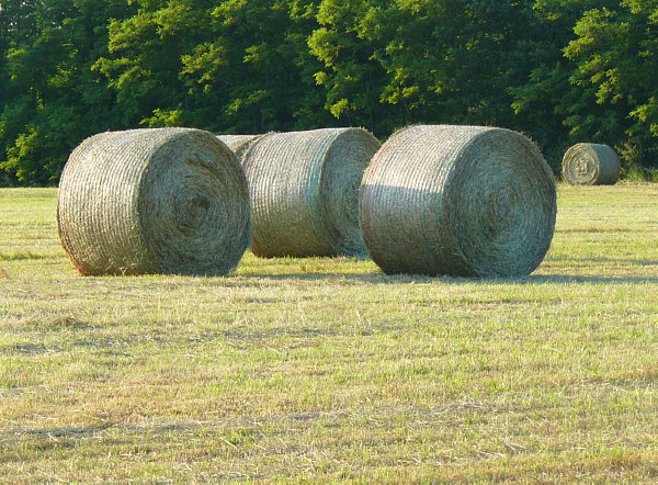 Più balle per tutti