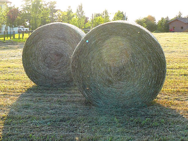 Ancora con queste balle ?