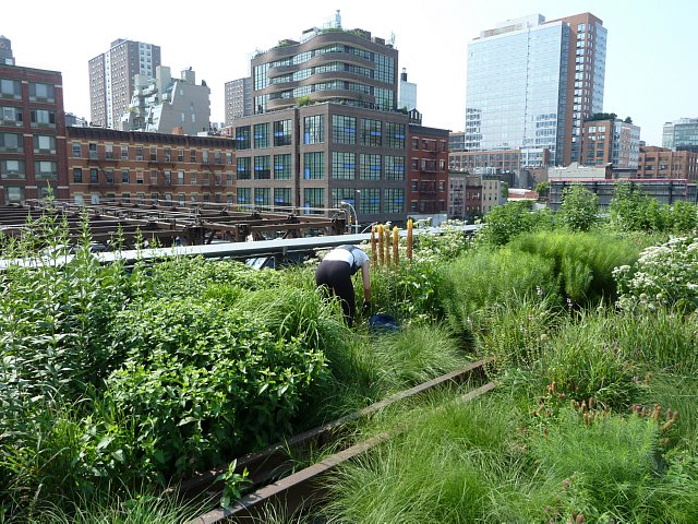 Miriam nella verdura.