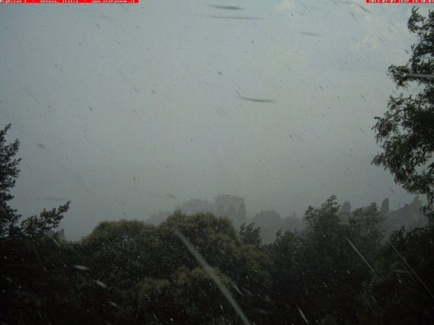 Back to average shit