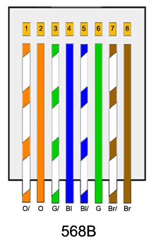 Sticazzi multicolori