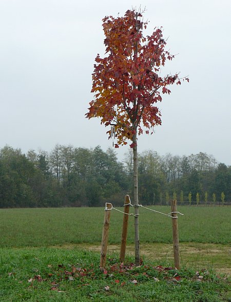 Di questi ne voglio mettere altri 1.000