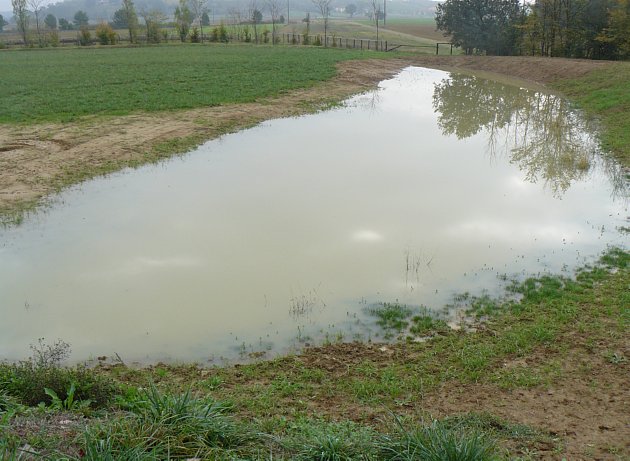 Ci sono già famiglie di trote.