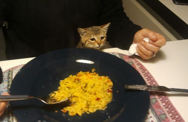 Immagine arrivata via whatsapp o come minchia si chiama