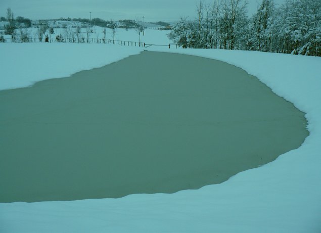 Poteva mancare la foto della Pfm ?