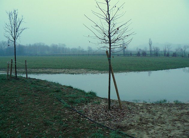 Location, location, location.