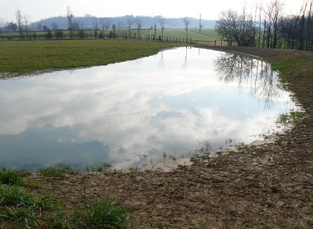 La PFM il 10 Gennaio 2014