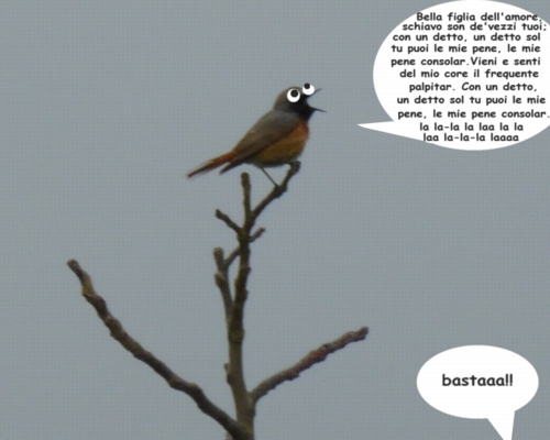 Della serie "e piantala, cazzo"