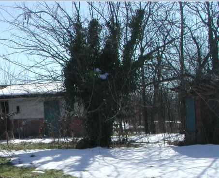 Foto di repertorio, siamo nel 2003.