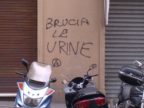brucia