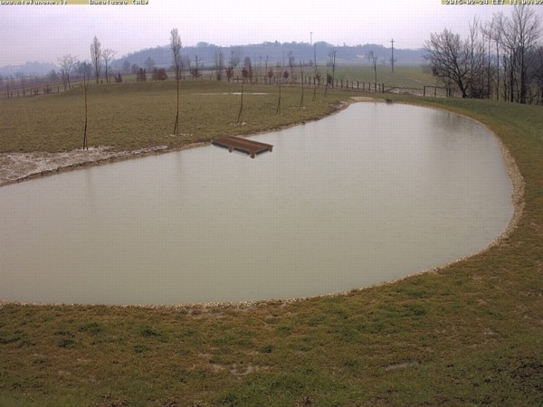 Qualcosa del genere.