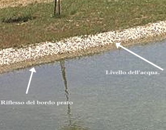 riflesso