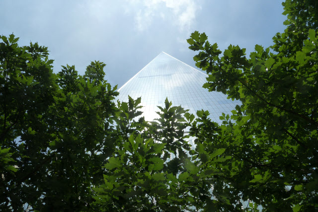 wtc1