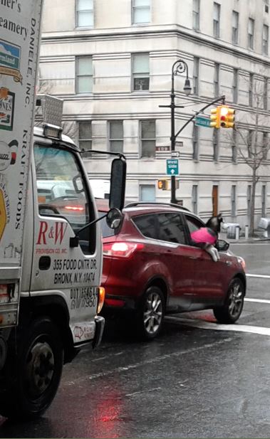 Certe cose si vedono specialmente a New York