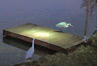 Due Gastoni.Il peggio del Photoshop.