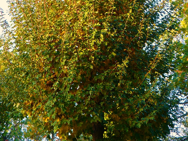 This image has an empty alt attribute; its file name is a01-1.jpg