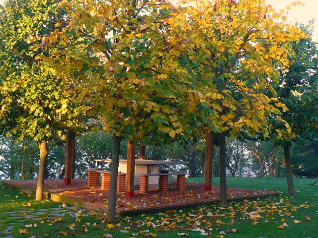 This image has an empty alt attribute; its file name is a02-1.jpg
